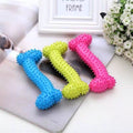 Three spiky dog toys in blue, green, and pink on a magazine with a floral arrangement in the background.